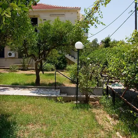 Soile Georgia Apartment